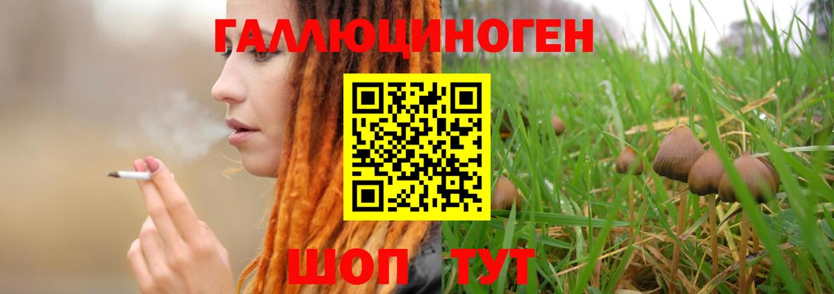 Галлюциногенные грибы GOLDEN TEACHER Сухой Лог