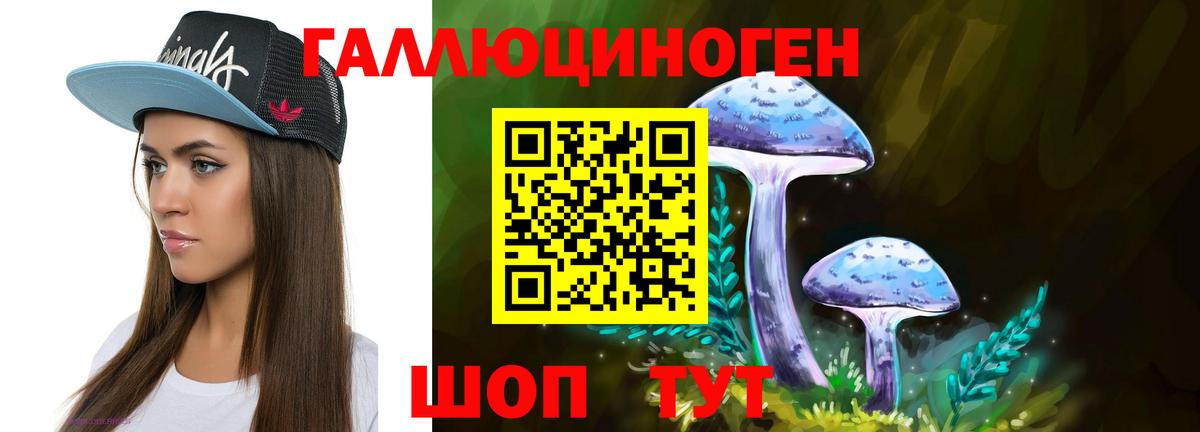 Галлюциногенные грибы Magic Shrooms  Вход с VPN  Сухой Лог  Галлюциногенные грибы Magic Shrooms 